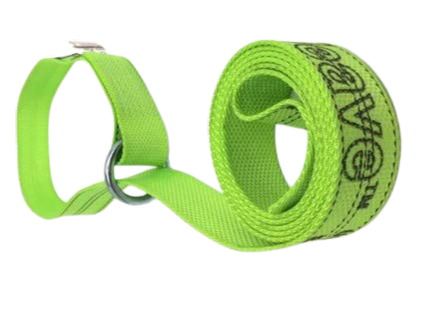 CT-2X10OR-DW Diamond Weave Lasso Strap with O-Ring, 2" x 10', 3,333 lbs Load Capacity